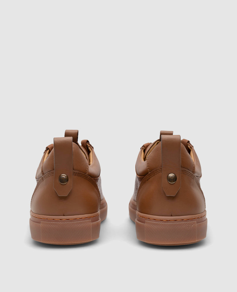 Turin Sneaker T - Brown